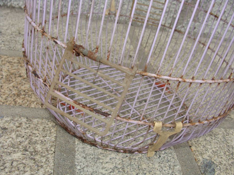 Gaiola Redonda Lilás para Restauro