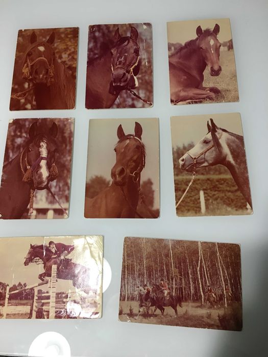 Pocztówki Konie PRL