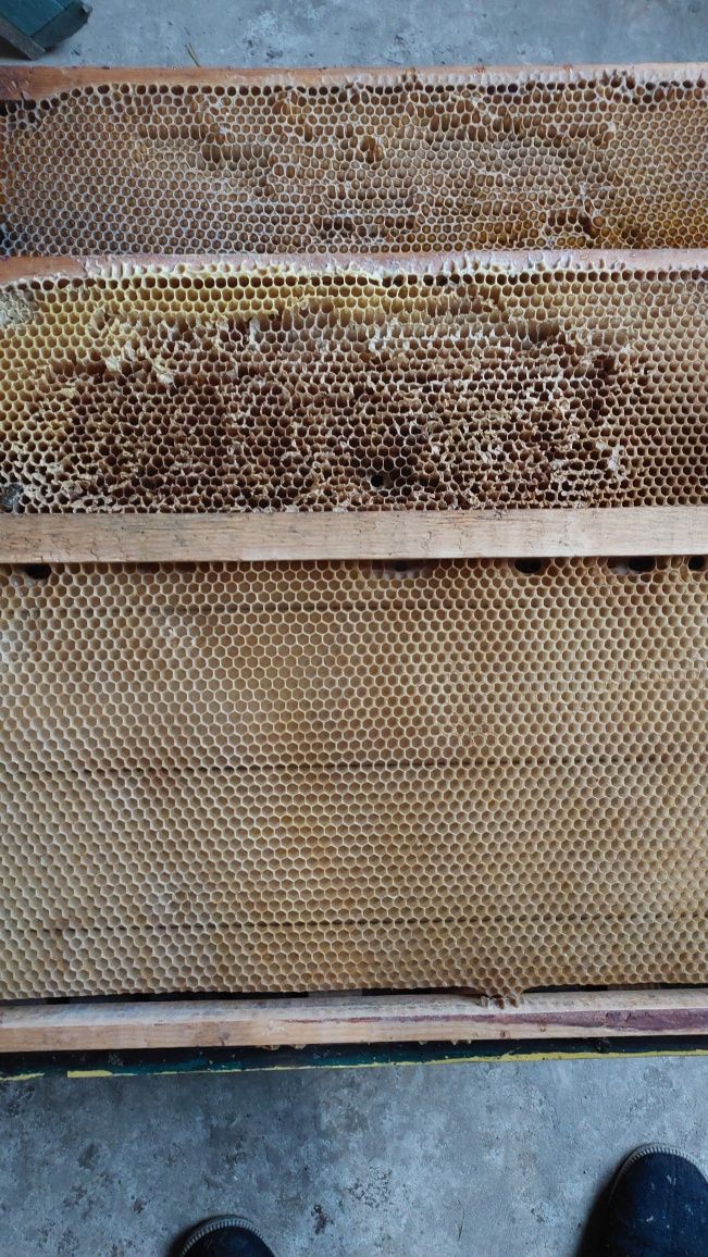 Продам  сушь для пчёл рамки, рута ,дадан есть с мёдом.