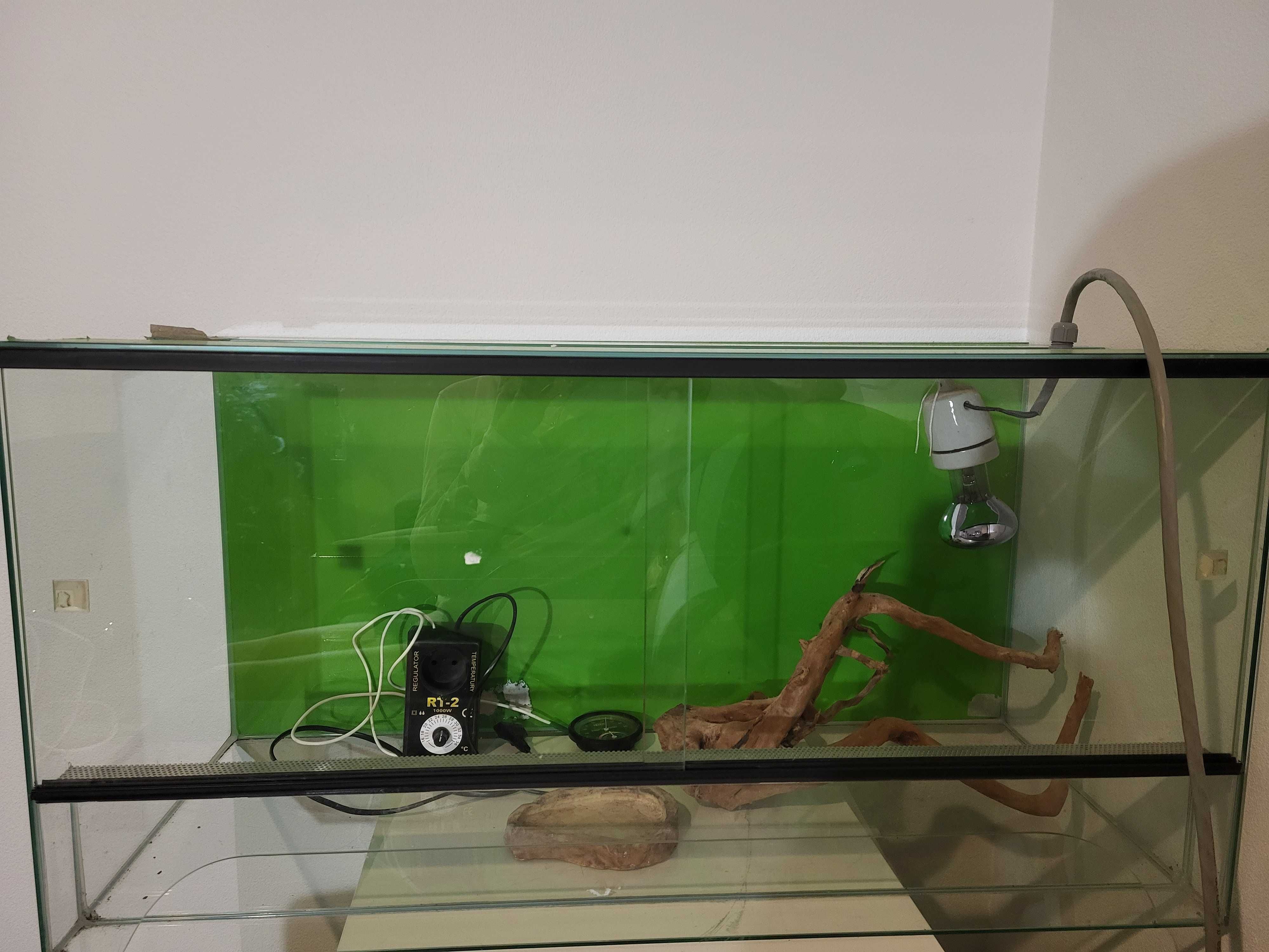 TERRARIUM duże komplet z gadżetami