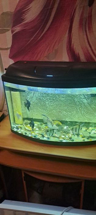 Срочно продам акваріум