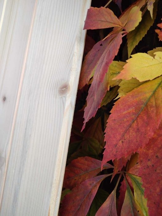 Podbitka 1,5x12cm (szalówka boazeria deska elewacyjna)