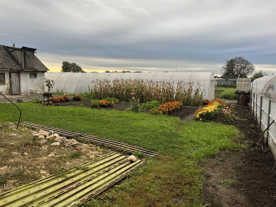 Будинок с.Пашківці ( Старокостянтинів )