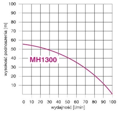 Hydrofor + Pompa MH 1300 INOX 100L z Manometrem IBO Zestaw!