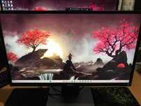 Монітор DELL P2417H 1920x1080(FullHD)