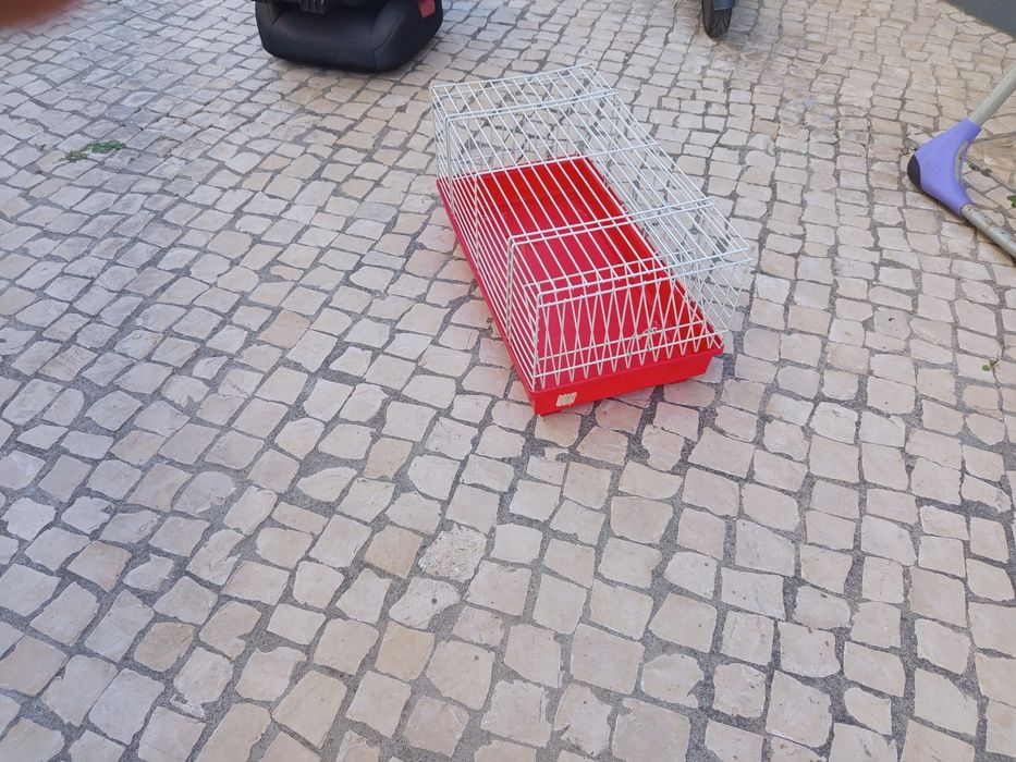 Gaiola para coelhos