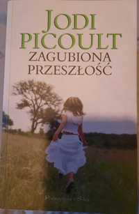 Jodi Picoult Zagubiona przeszłość