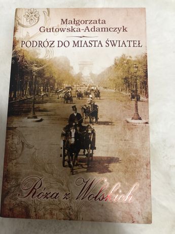 Ksiazka Roza z Wolskich-podroz  do mista swiatel Malgorzata Adamska
