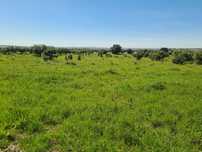 Terreno Rústico com Aproximadamente 1.1ha - Aldeias de Montoito