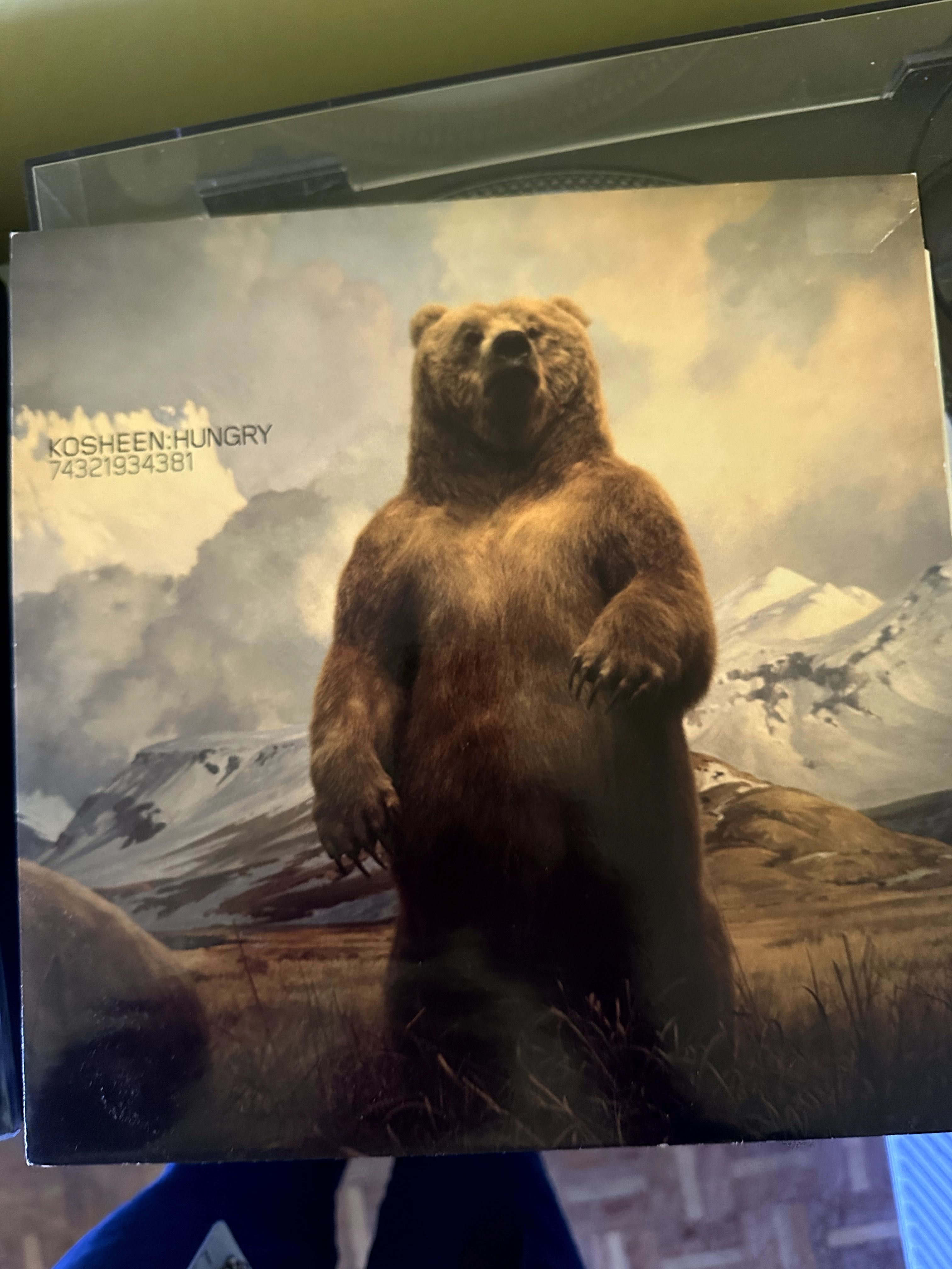 Kosheen ‎– Hungry. Vinyl, 12", 33 ⅓ RPM, Single