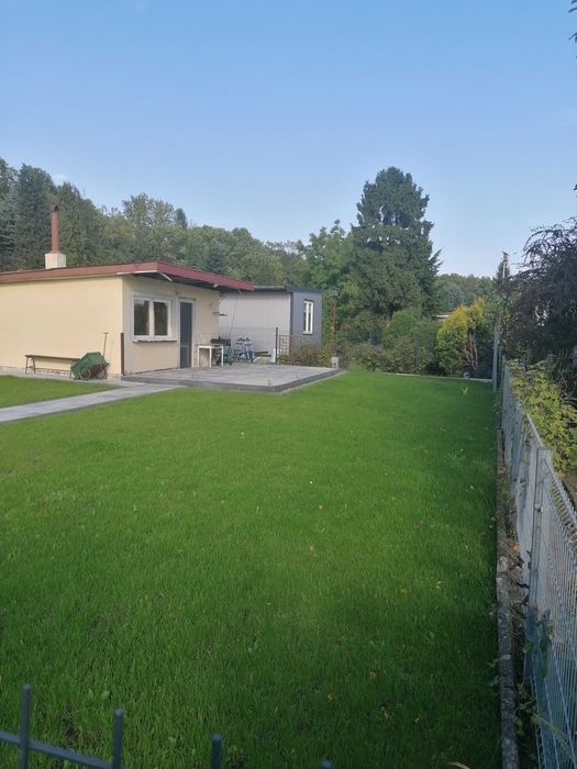 usługi koszenie trawy glebogryzarka separacyjna zakładanie trawnika