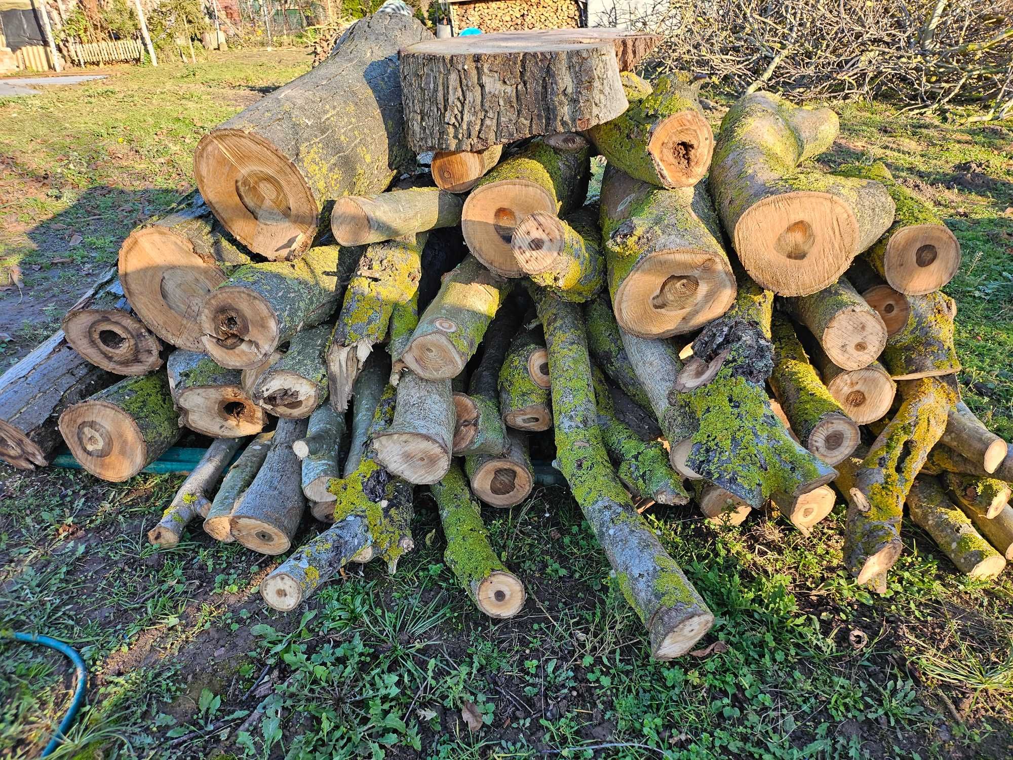 Drewno z orzecha włoskiego