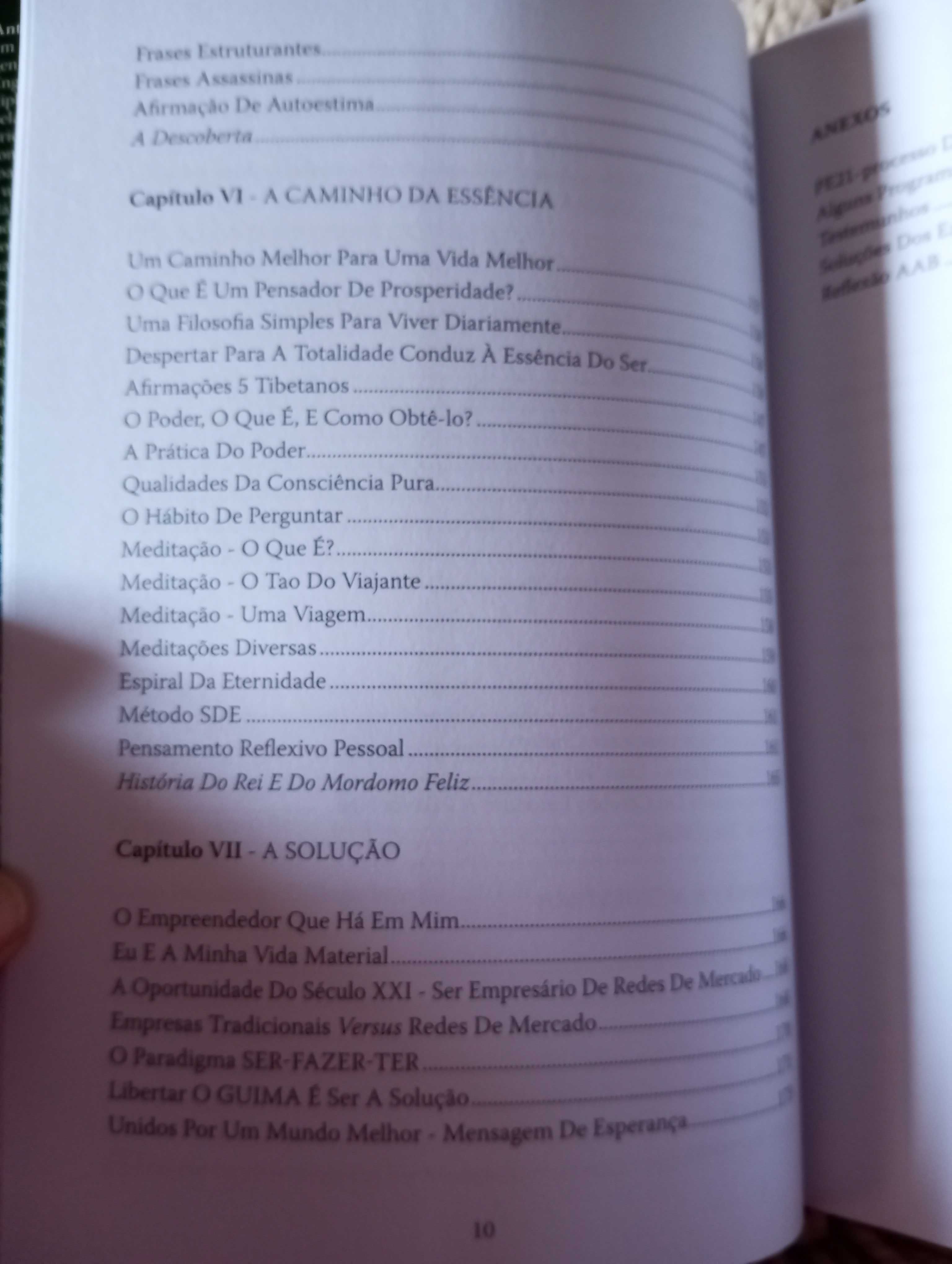 A engenheira humana é a solução, de António Guimarães