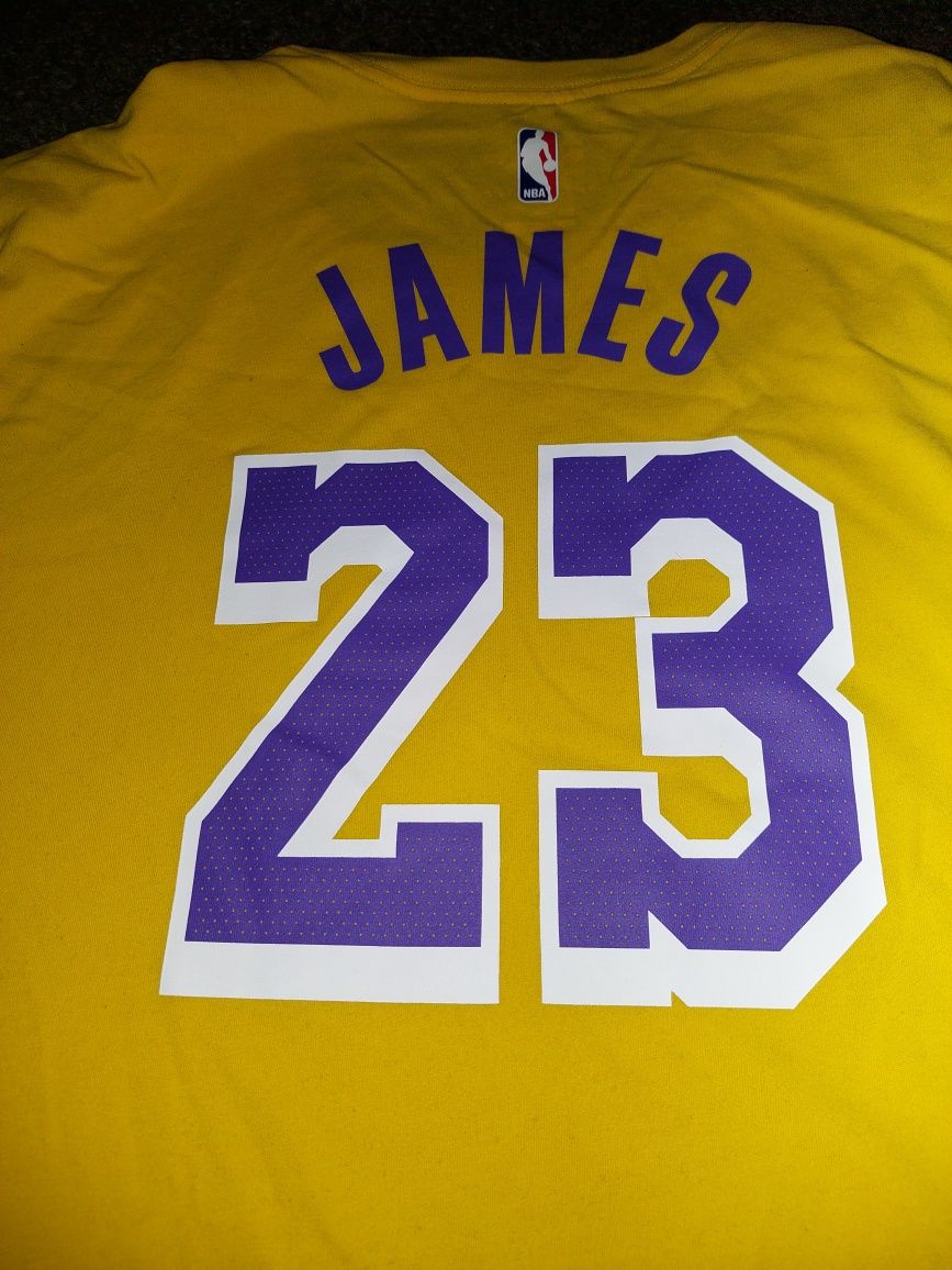 Męski T-shirt Nike Los Angeles Lakers LeBron James 23 DRI-FIT