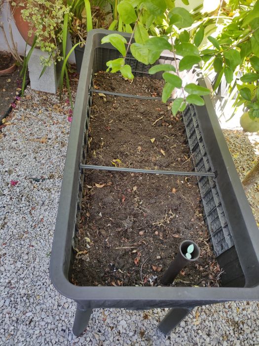 Horta Vertical 113X48 ( 2 para venda)