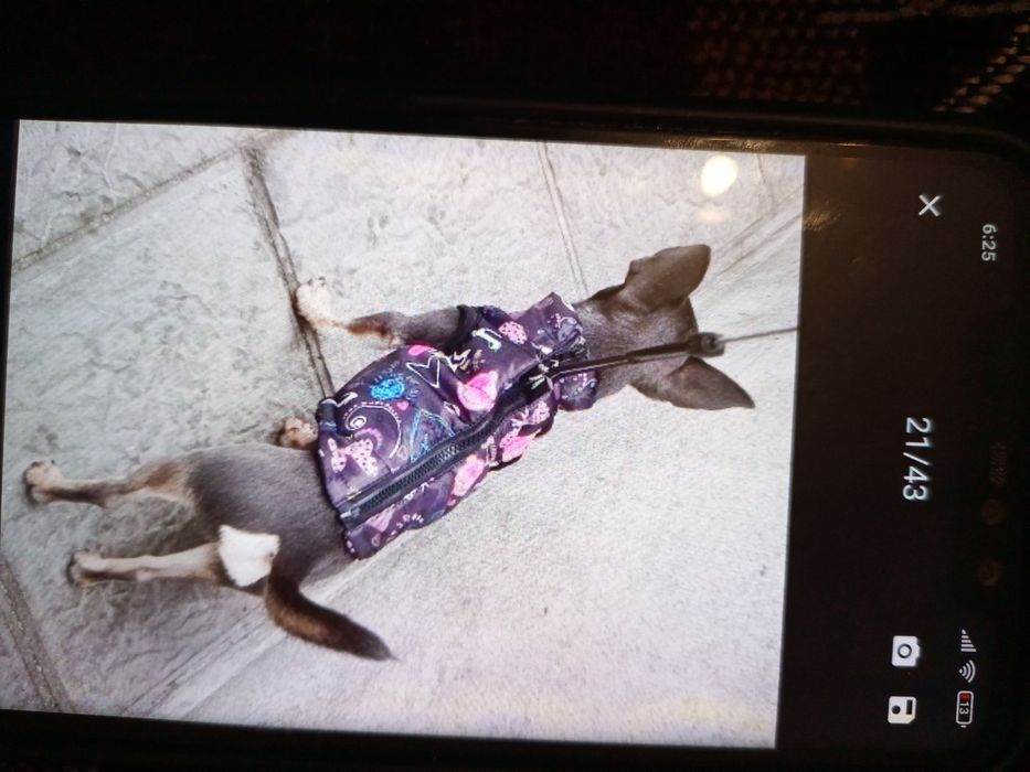 Теплий жилет  для лет