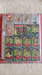 Cromos Panini Euro 2004 EXCLUI RONALDO