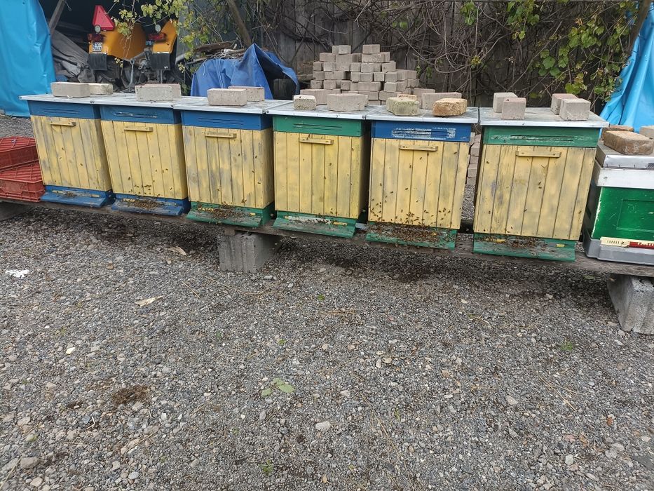 Ule korpusowe warszawskie poszerzane