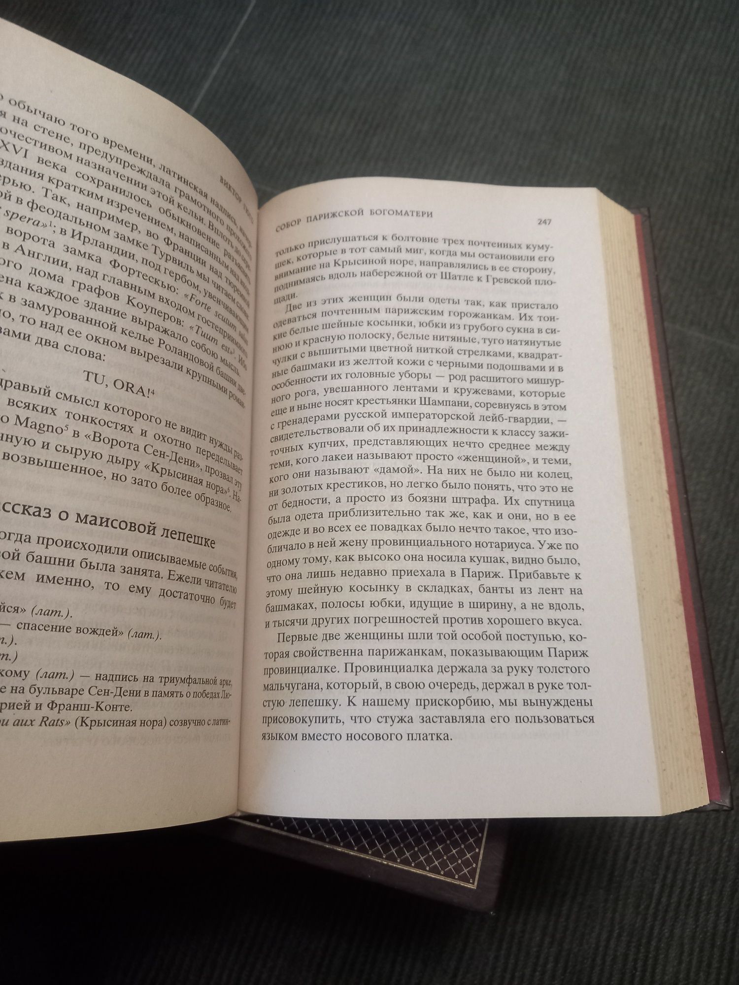 Ф. Достоевский, Виктор Гюго, Вальтер Скотт