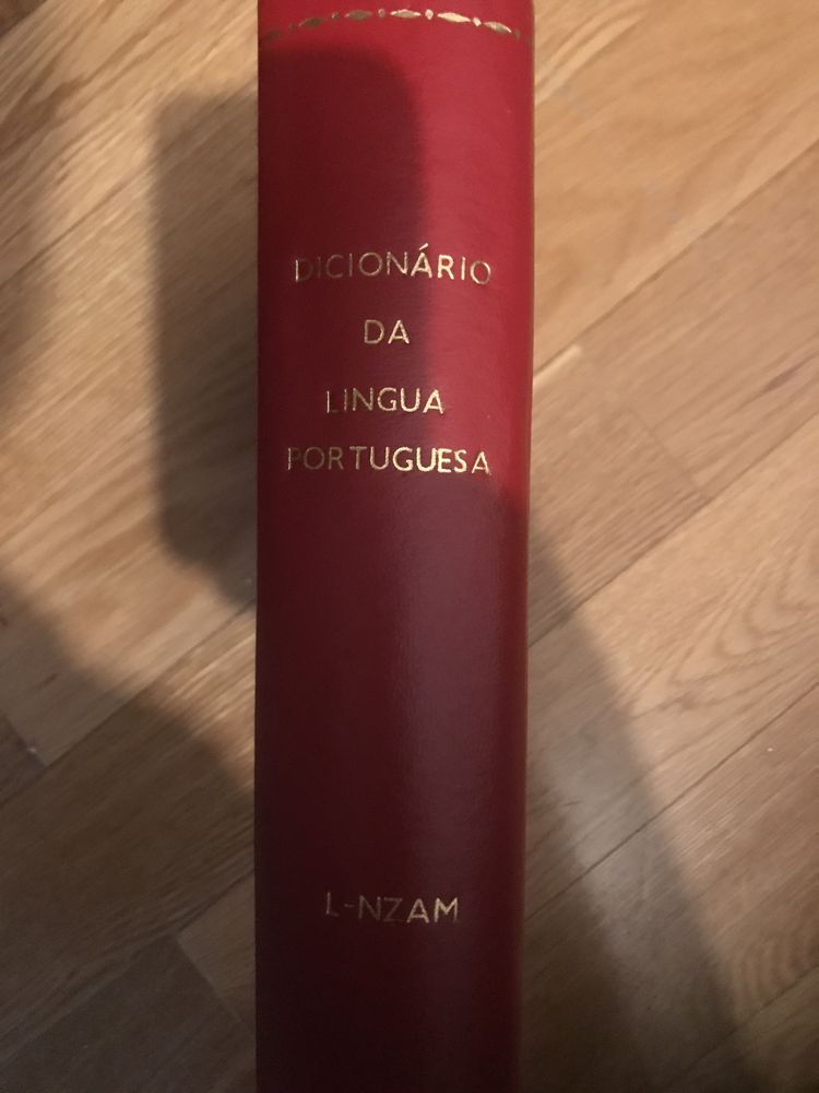 Dicionário da língua portuguesa ANTIGO 1958/60