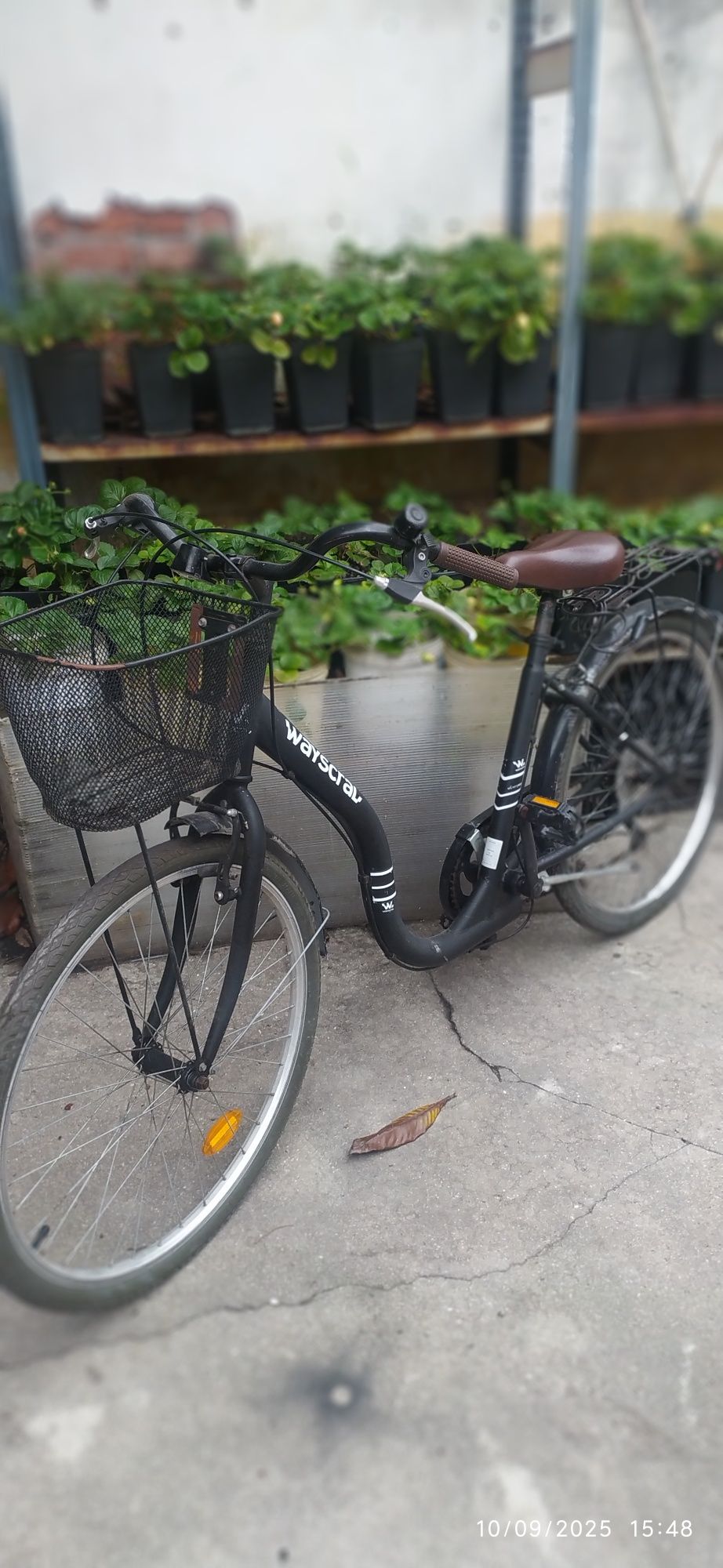 Bicicleta waysclral estilo holandês