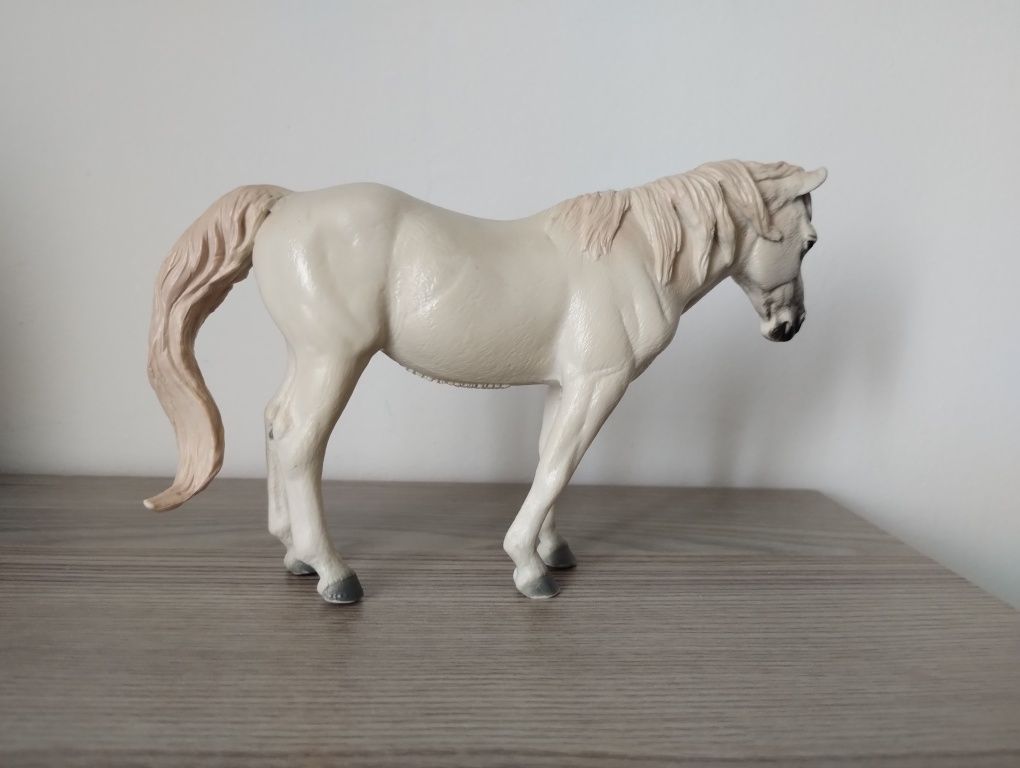 Klacz camargue collecta