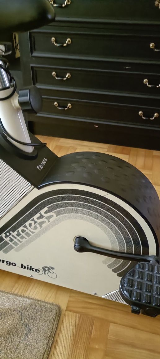 Rower Stacjonarny Daum Electronic Ergo-Bike - Wysokiej Jakości Sprzęt