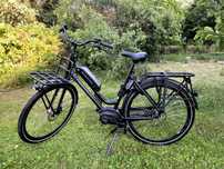 Batavus Quip Extra Cargo: rower elektryczny z silnikiem Bosch 50 Nm
