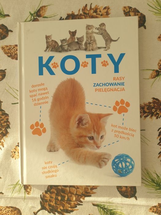 Książka dla dzieci o kotach