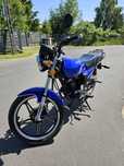 Motor Zipp Toros EL Viento 125