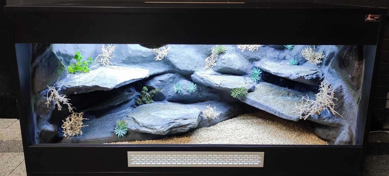 Terrarium pustynne nr523 120/60/60 dla agamy brodatej  NA ZAMÓWIENIE