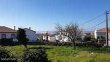 Terreno em Vila Praia de Âncora