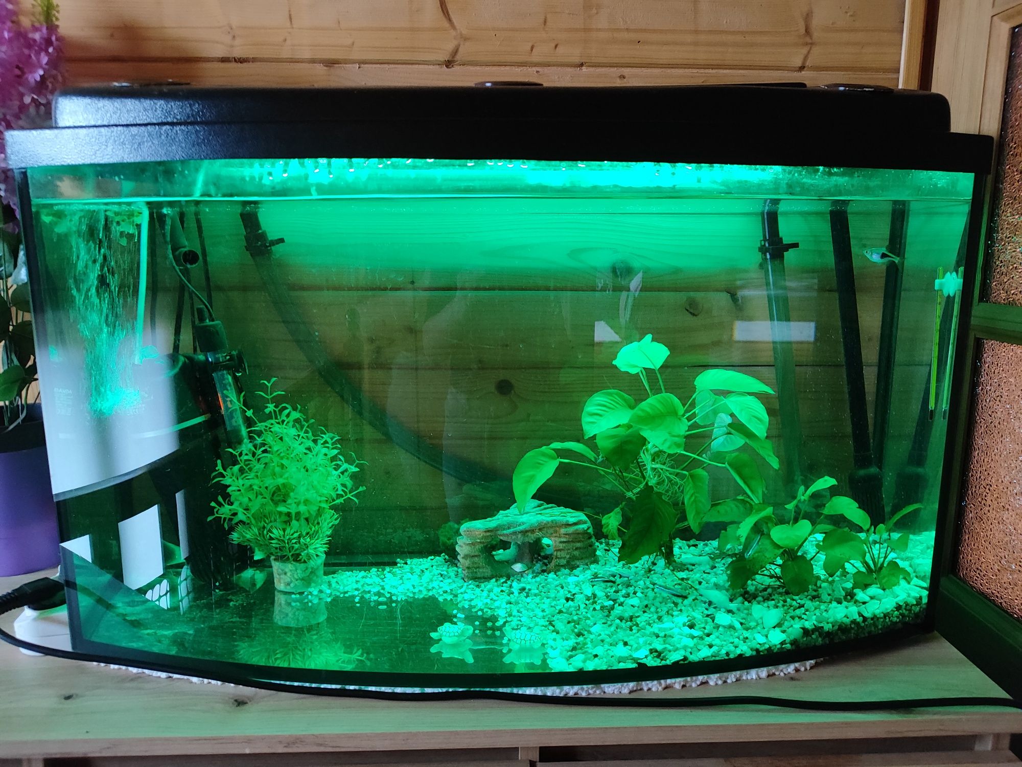 Akwarium profilowane 140l z pokrywą zestaw LED RGB filtr grzałka