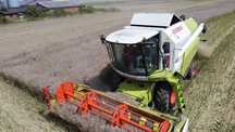 Claas tucano 320
