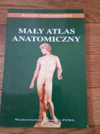 Mały atlas anatomiczny