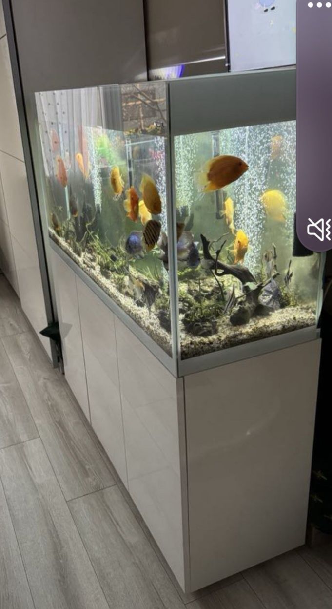 Aquael glossy 120 akwarium 260l