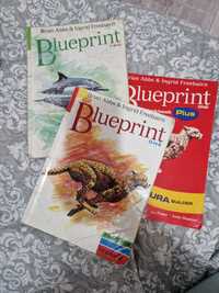 Blueprint one two longman student's book