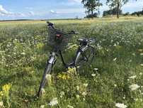 Sprzedam rower elektryczny GREENS