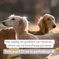 Behawiorysta psów i kotów | psia oraz kocia behawiorystka | Kraków