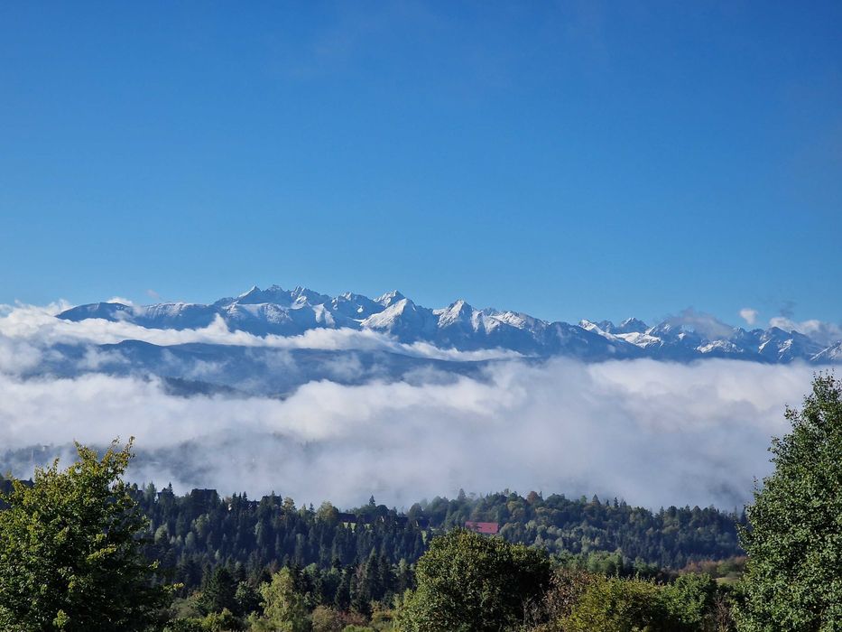 Dom premium z jazuzzi, bilard z widokiem na Tatry