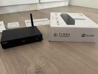 NOWY Taga Harmony TWA-10B 2024 - Streamer/DAC/transport