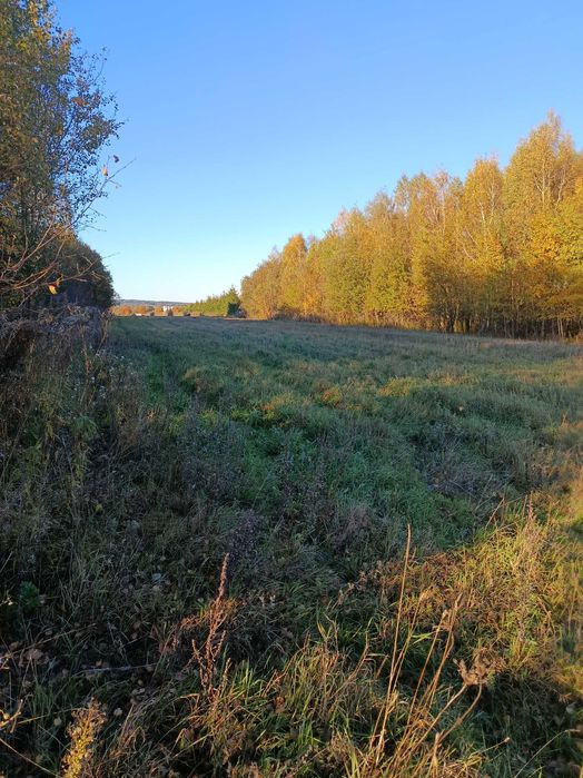 działka budowlana z warunkami zabudowy Połczyn Zdrój