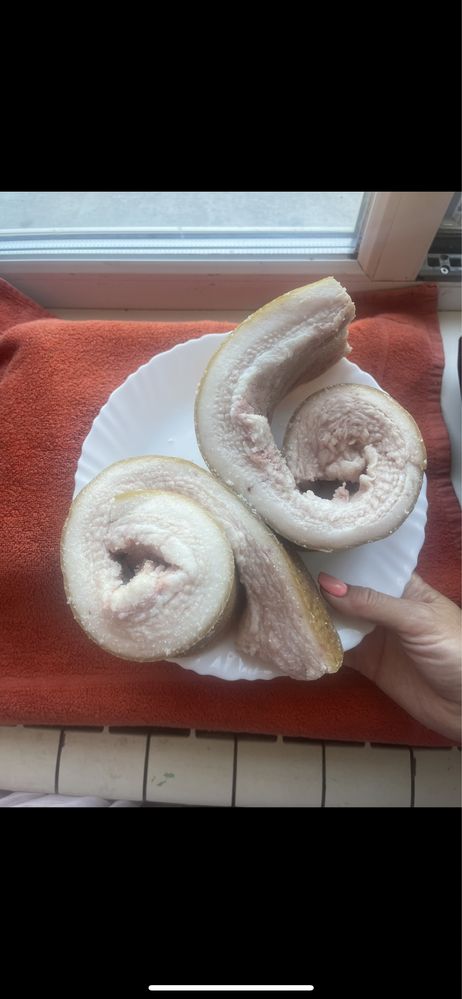 підчеревина домашня  сало генеральське