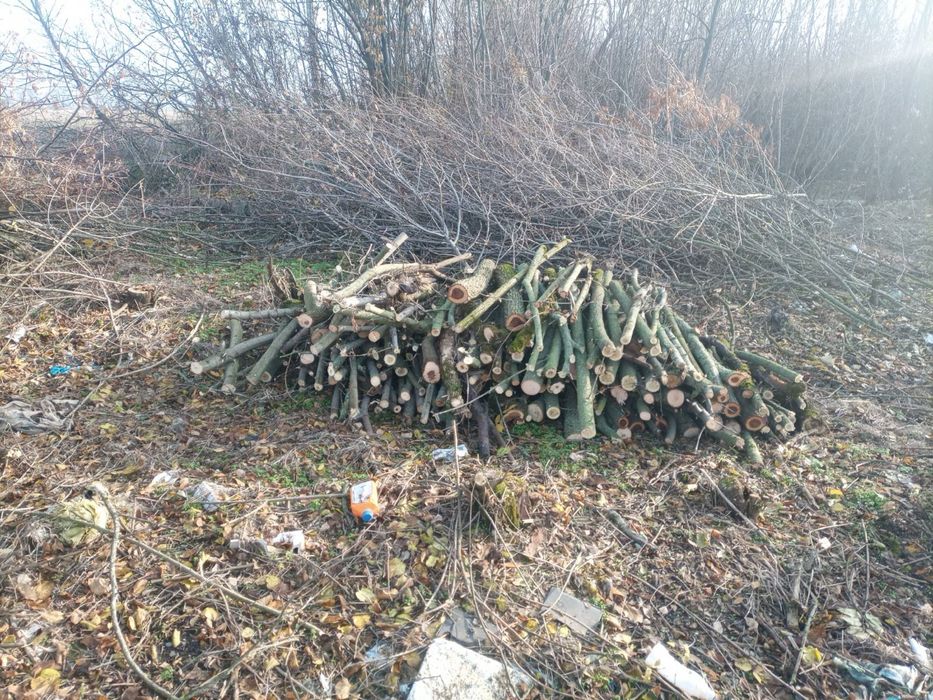 Дрова твердых пород дрова твердих порід зі своєї земельної ділянки