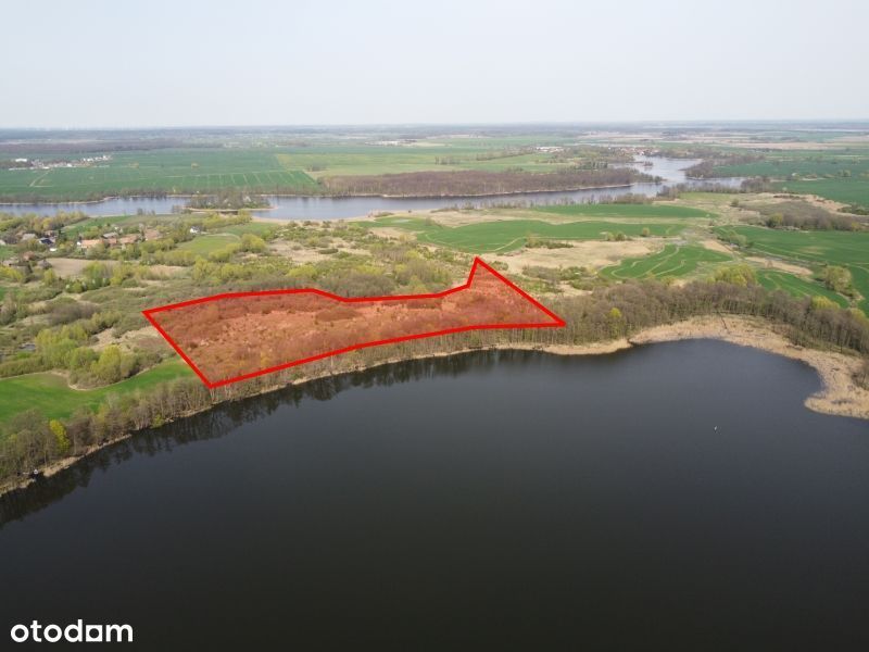 Działka nad Jeziorem Czernikowskim, 4 ha