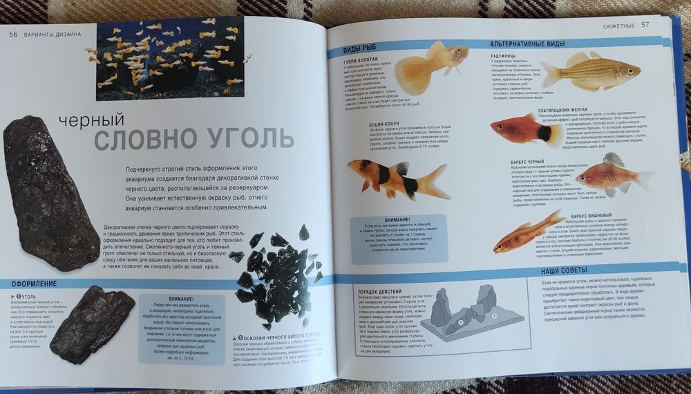 Книга "Аквариумный дизайн | Мэттью Кристиан"