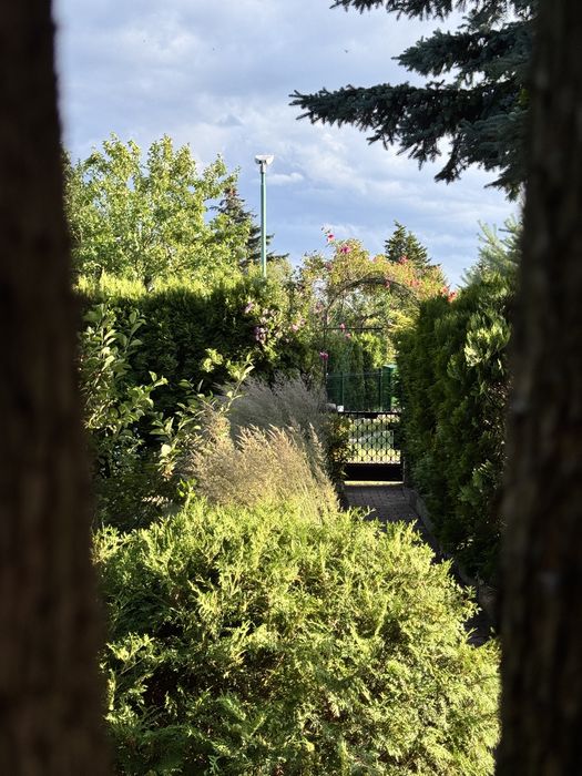 Ogród Działkowy na Rod Koninko