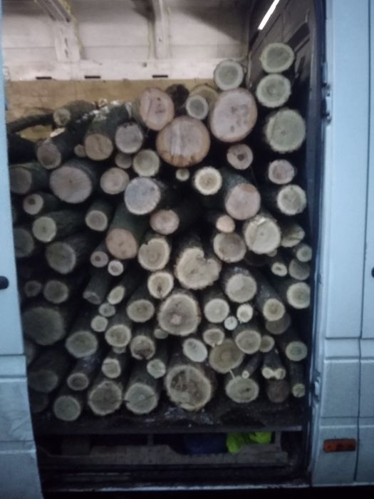 Дрова Дуб Акация