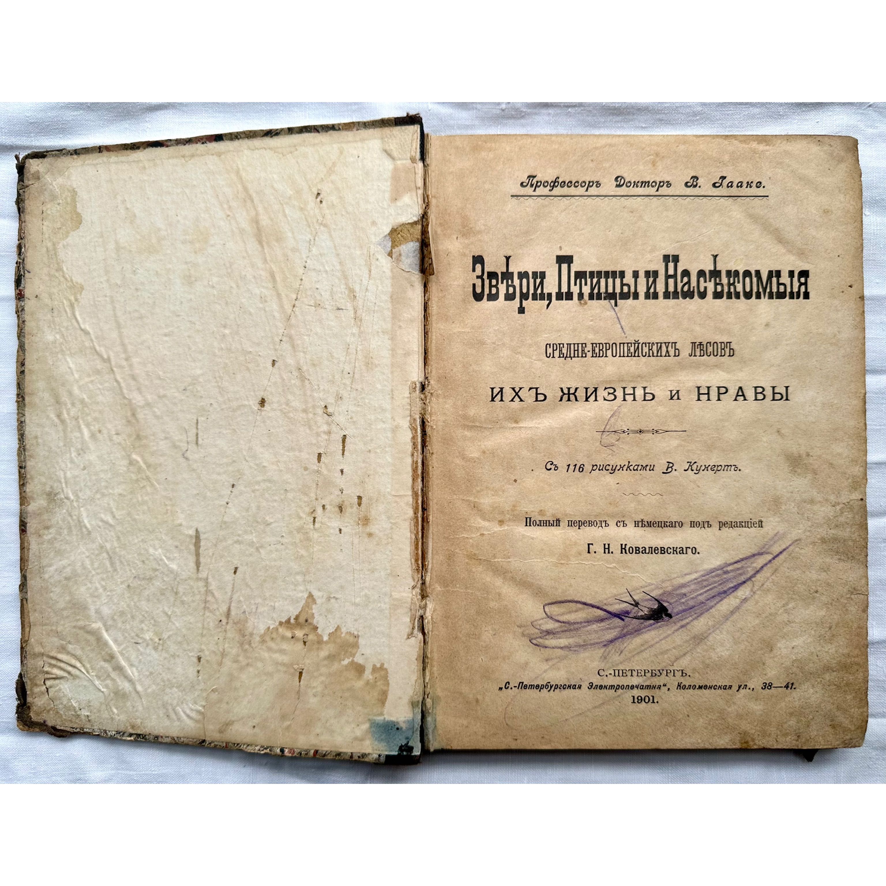 «1901 г! Звери, птицы и насекомые среднеевропейских лесов»