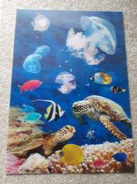 Plakat poster Akwarium ryby żółw 24,4x35 plus 2 inne gratis